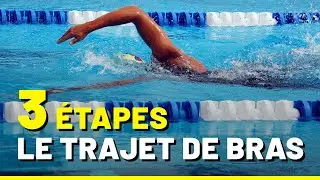 3 SECRETS SUR LE MOUVEMENT DES BRAS EN CRAWL