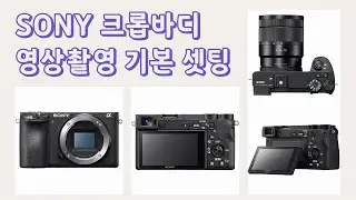 SONY Crop Body Video Shooting Basic Settings