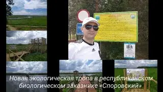 Экотропа в д. Высокое (Березовский район) Беларусь.