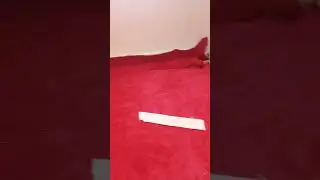 Wall to Wall carpet installation