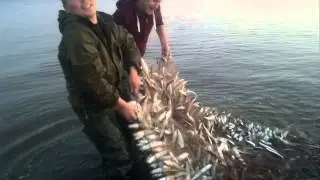 рыбалка п. Гыда