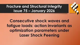 Consecutive shock waves and fatigue loads: action invariants as optimization parameters under ...