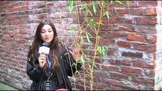 Port Townsend Film Festival: An Interview with Nicole Pritchett - I AM