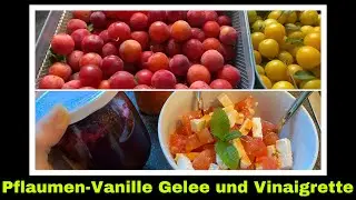 Kirschpflaumen Vanille Gelee und Vinaigrette selber machen | Mirabellen