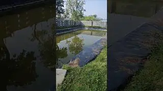 Farm pond. #sustainability #rainwatermanagement #groundwater #rainwaterharvesting #farmpond #rain