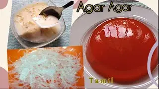 how to store and use agar agar or china grass in tamil/china grass recipe