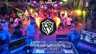 Dj Fritz - Drop Dead Beautiful ( Remix ) 