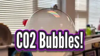 🎃DIY Spooky Halloween CO2 Bubbles in RamZland!⚗️ #Halloween #STEM #DryIce #Sublimation #RamZland