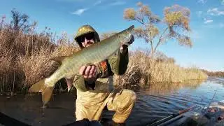 Busse Woods Musky 11-7-25