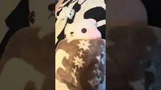 poppipoppipo Jim Sam
