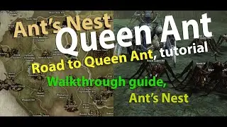 Road to Queen Ant Lv. 40 | Lineage 2