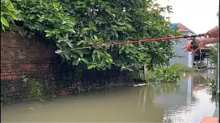 mancing