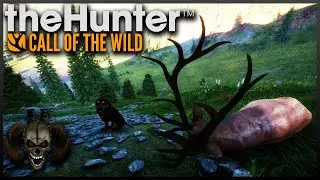 Big Elk Little Rifle! The Hunter Call of The Wild