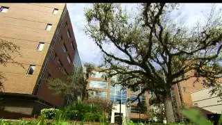 hpnp time lapse