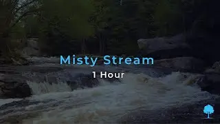Misty Stream ⛰️ Flowing Water Sounds for Rest & Calm