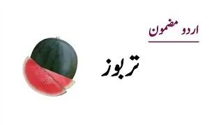 Watermelon | Essay on Watermelon in Urdu | Tarbooz | Essay on My Favourite Fruit | اردو مضمون تربوز