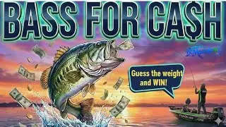 GUESS THE WEIGHT & WIN! 🎣 Bass for Cash: Live from Lake Lanier (ep.20264)