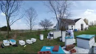 Beekeeping at Rothenbuhler Lab on April 26, 2018