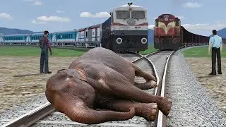 ELEPHANT VS TRAIN || Stops the train || Train Simulator Funny Video Funny 3d Animals #live #funny