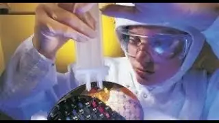 Semiconductor Cleanrooms