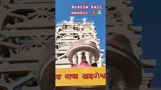 Reels | Shorts | Araria kali mandir | माँ काली मंदिर | अररिया | बिहार | Akela Photography