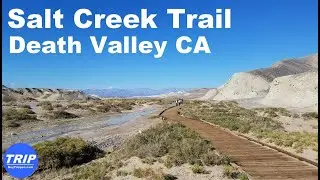 Salt Creek Interpretive Trail  Death Valley California