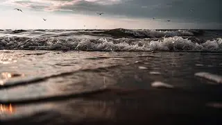 Ssdestiny - Auf dem Meer (/30 official music video)