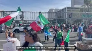 They waving foreign flags on American soil to protest against mass deportation 🤦🏽