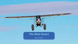 West Desert Bush Pilot * Salt Flat Plane * Take Off with Bush Pilot