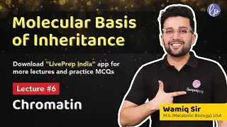Chromatin - Heterochromatin and Euchromatin - Molecular Basis of Inheritance by Wamiq Sir