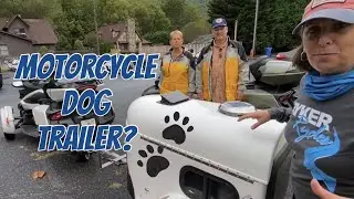 How to Trailer Your Dog with a Motorcycle?!
