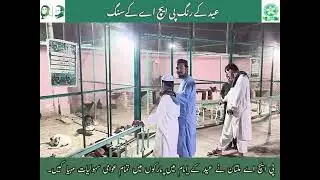 Eid Day Visits of Different Parks By Commissioner Multan Division Multan along with DG PHA Multan