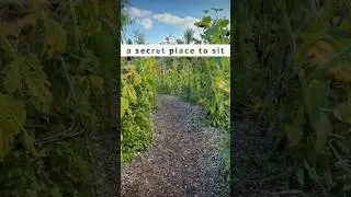 DISCOVER a SECRET place to sit | Wimpole | National Trust | Cambridgeshire, UK