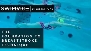 SWIMVICE | Правильный расчет времени для техники брасса | Основы брасса