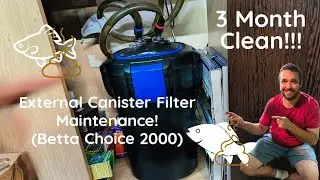 Clean My Filter With Me!! #canisterfilter #aquariums