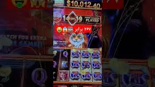 #جکپات #major #bonus #catswild #serengeti #slotmachine #casino #farsi #بونوس #کازینو #اسلات_ماشین