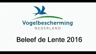 Vogelbescherming presenteert: Beleef de Lente 2016