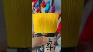 gobi zala ceiling broom filaments, china plastic PET monofilaments factory santone welcome you