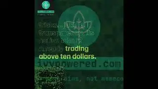 IVY THE GAMECOIN LAUNCHPAD