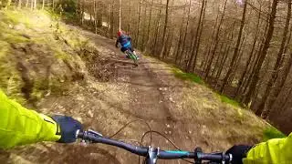 Whinlatter Forest MTB ALTURA TRAIL