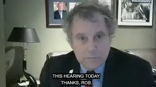 Multiemployer Portman Brown bailout senate finance hearing