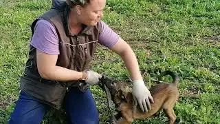Горгона из Мира Енали, 2,5 месяца