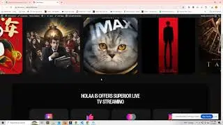 CodexShaper WordPress Theme Installation
