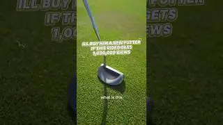 Help my friend get a new putter #golf #golfswing #taylormadespider #golflife