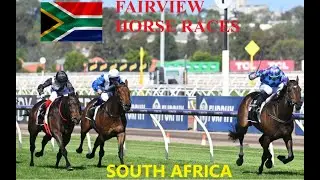 4th MARCH 2025 FAIRVIEW SOUTH AFRICA HORSE RACE PREDICTIONS-FREE TIPS ON TUESDAY