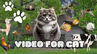 CAT GAMES 📺🪳 2024 Ultimate CATS TV Compilation 🐠😻🦂 4K | Video For Cats