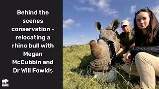Relocating a rhino bull with Megan McCubbin & Dr Will Fowlds