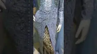 cuss order 62813 1885 6957