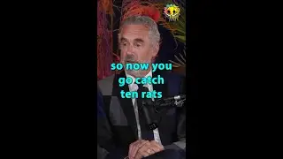 What is a Rat King? 🐀 Jordan Peterson explains Theo Von the origins of the Rat King #shorts