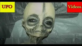 UFOs Over Myrtle Beach - Carl Wolfe Testimony - Best UFO Cases - 1561 Nuremberg UFOs - Boyd Bushman